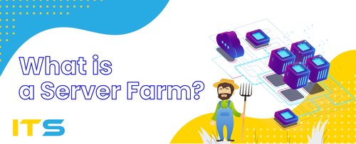 What is a Server Farm?